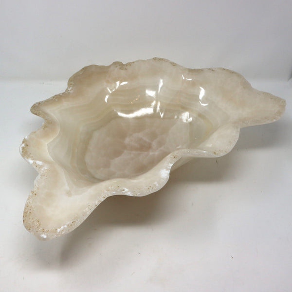 Medium Cream/Opaque Scalloped Onyx