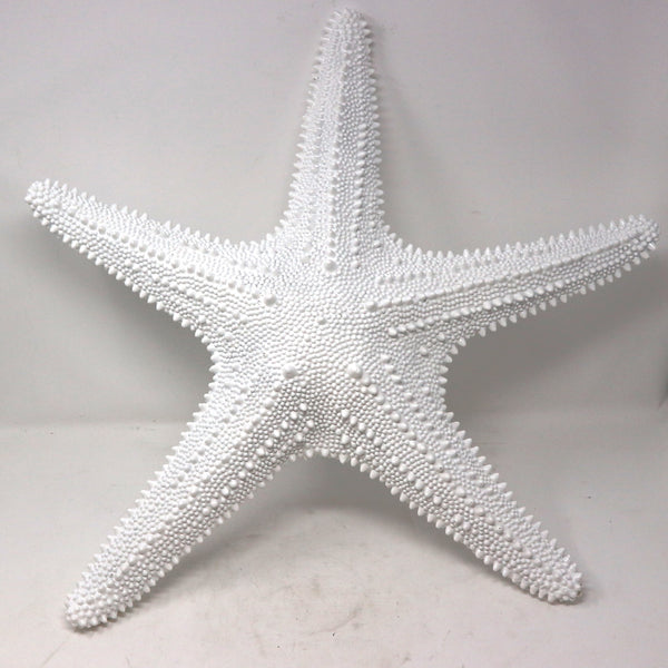 Large White Starfish Wall Décor