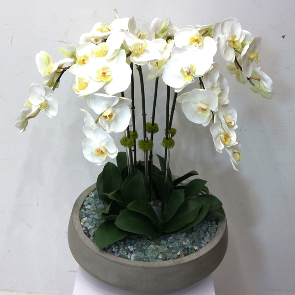 Orchids w/ Fluorite in Concrete Bowl