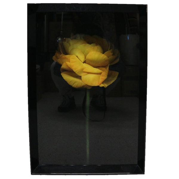 Framed Acrylic Flower Art (3-Available)