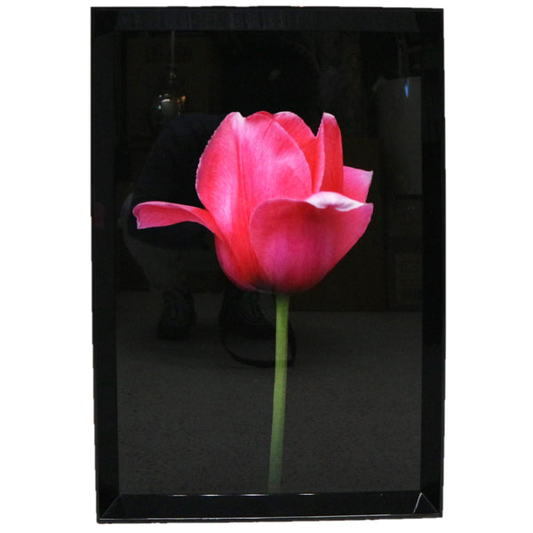 Framed Acrylic Flower Art (4-Available)