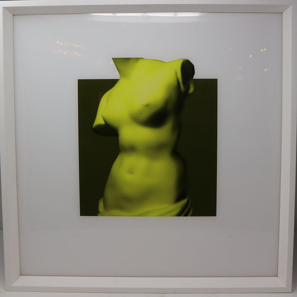 Chartreuse Venus de Milo Bust Framed
