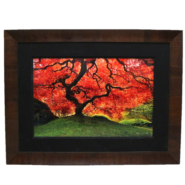 “Tree of Life” by Peter Lik Framed Photo 56/950