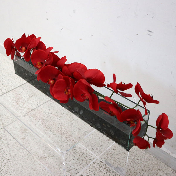Red Orchid in Glass Rectangular Vase