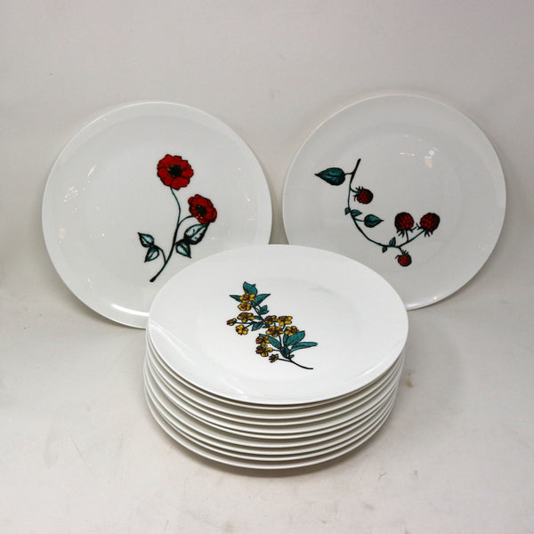 Set of 12 Hand Painted Floral Bird Dinner Plates