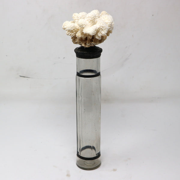Coral on Antique Glass Bottle