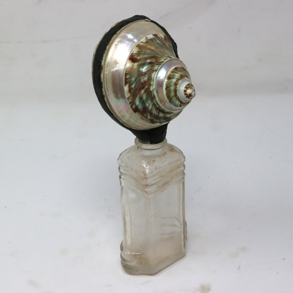 Antique Bottle w/ Shell