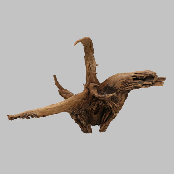 Large Driftwood Natural Sculpture