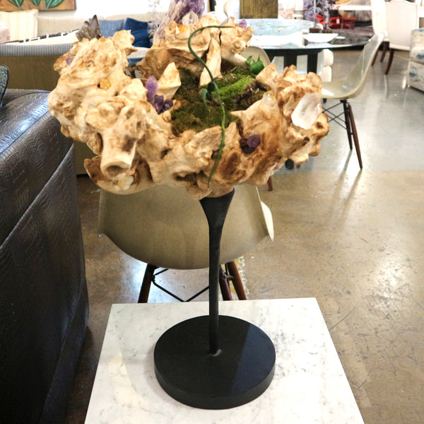 Root w/ Crystals and Moss on Stand