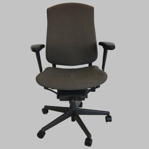 Herman Miller Celle Office Chair (2-Avaible)