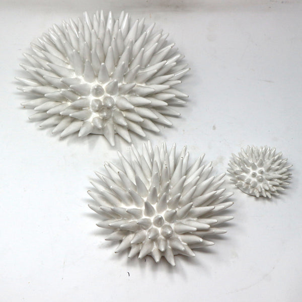 Set of 3 Urchins by Ashley Childers – Italy
