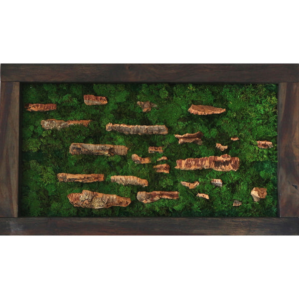 Framed Preserved Moss & Cork Bark Wall Art Hand Made by Evergreen Studios