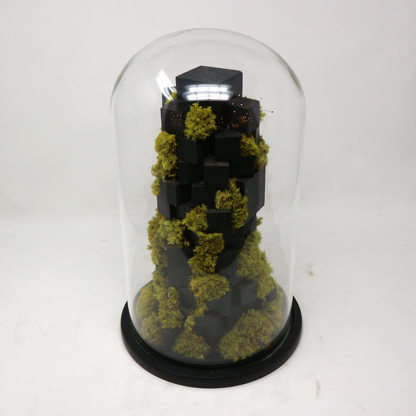 Sculptural Preserved Moss & Cork Bark Terrarium by Evergreen Studios