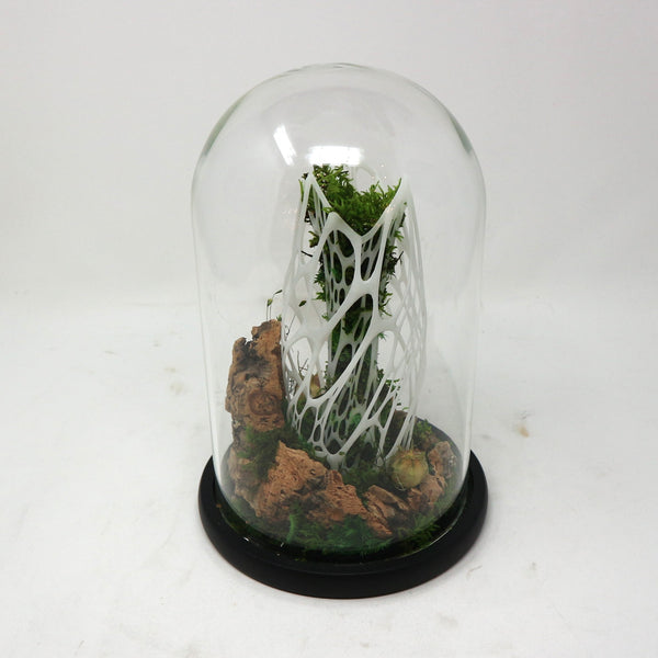 Sculptural Preserved Moss Terrarium by Evergreen Studios