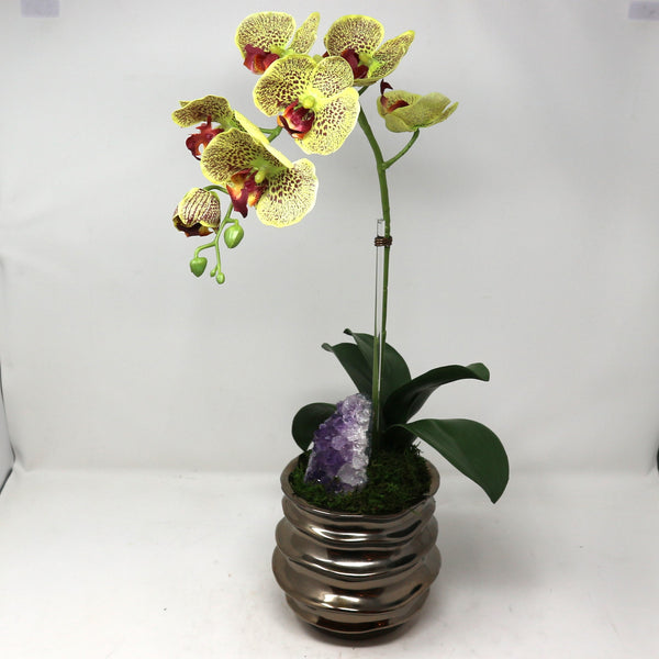 Single Green Orchid in Wavy Gold Vase