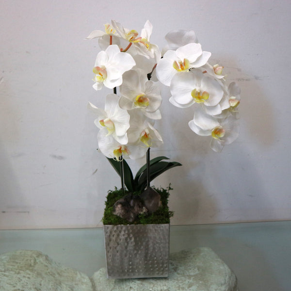 White Orchids in Hammered Metal Container with Quartz