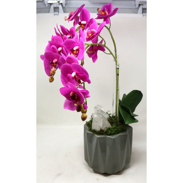 Orchid w/ Stone in Geometric Container