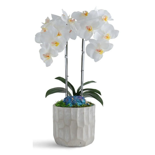 Double White Orchid in Textured Concrete w/Peacock Ore