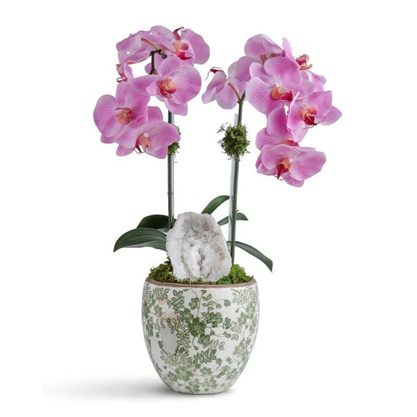 Light Pink Orchid in Green & White Ceramic Vase