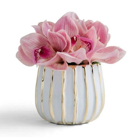 Cymbidium Orchid in Gold & White Container