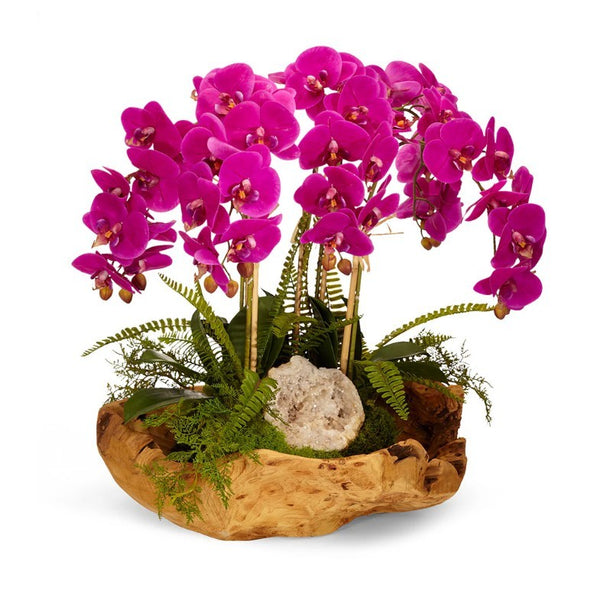 Fuchsia Orchids in Wood Bowl