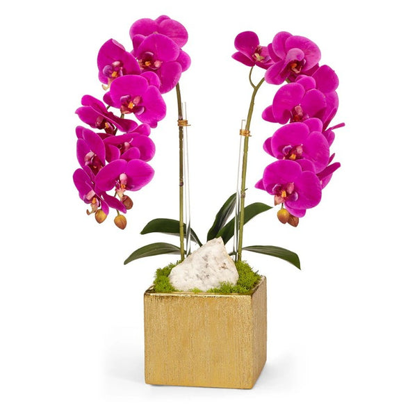Double Fuchsia Orchid in Gold Square