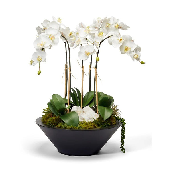 White Orchids in Sleek Round Container