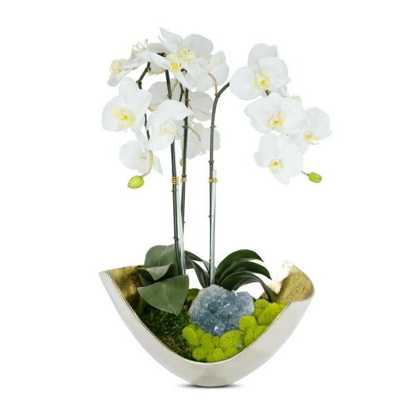 White Orchids in Mixed Metal Scoop with Blue Celestine