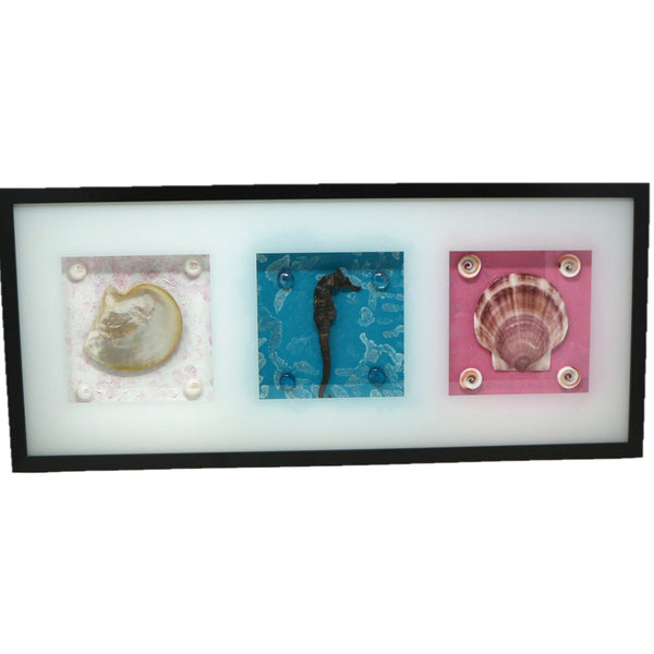 Shadow Box w/ Abalone, Seahorse, & Scallop