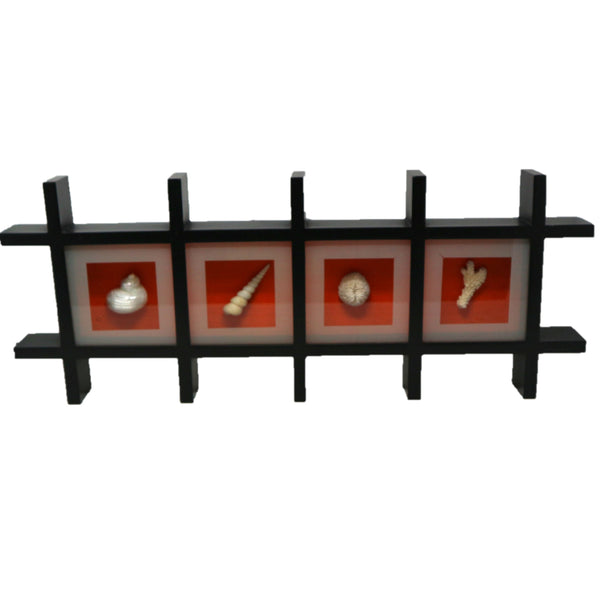 Crisscross Shadowbox w/ Shells & Coral