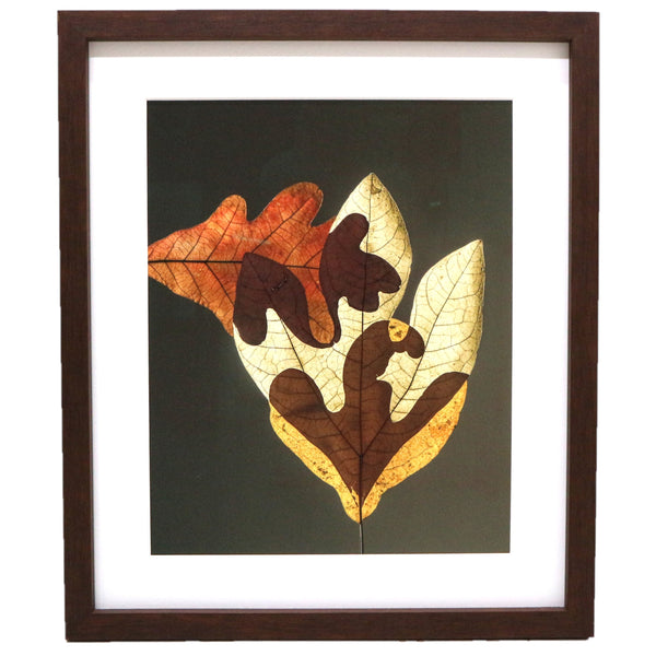 “Shadow Life 249” Framed Photograph by David Lebe 3/20